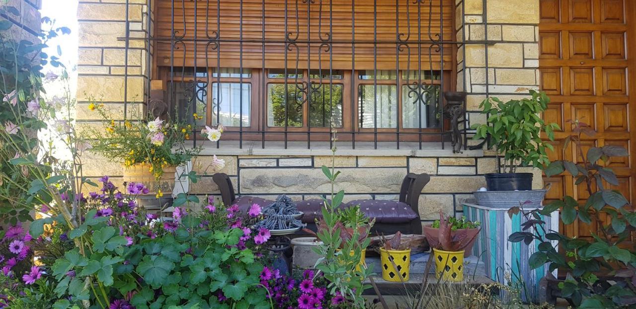 Citizen Kane Lodge - Hospedaje Gourmet Сан Карлос де Барилоче Екстериор снимка